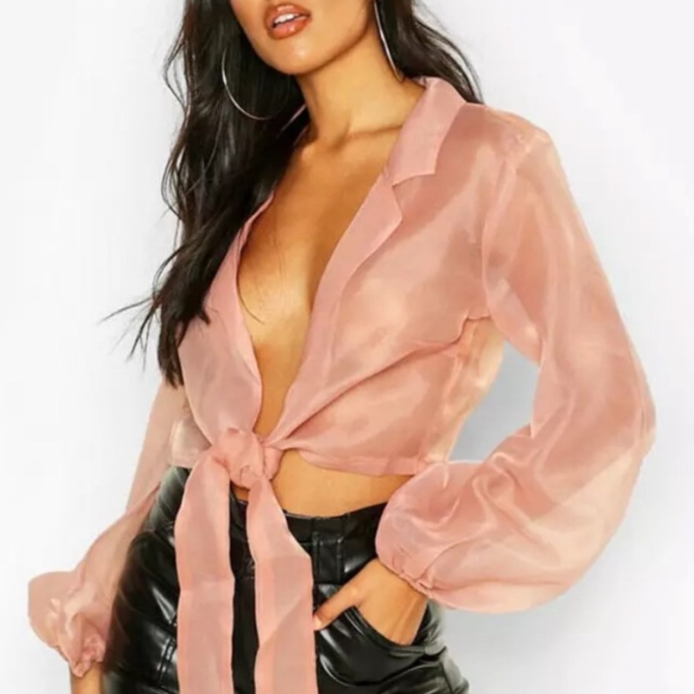 Sexy sheer transparent puff sleeve blouse.
